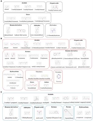 <mark class="highlighted">Microbial volatile</mark> organic compounds: Antifungal mechanisms, applications, and challenges